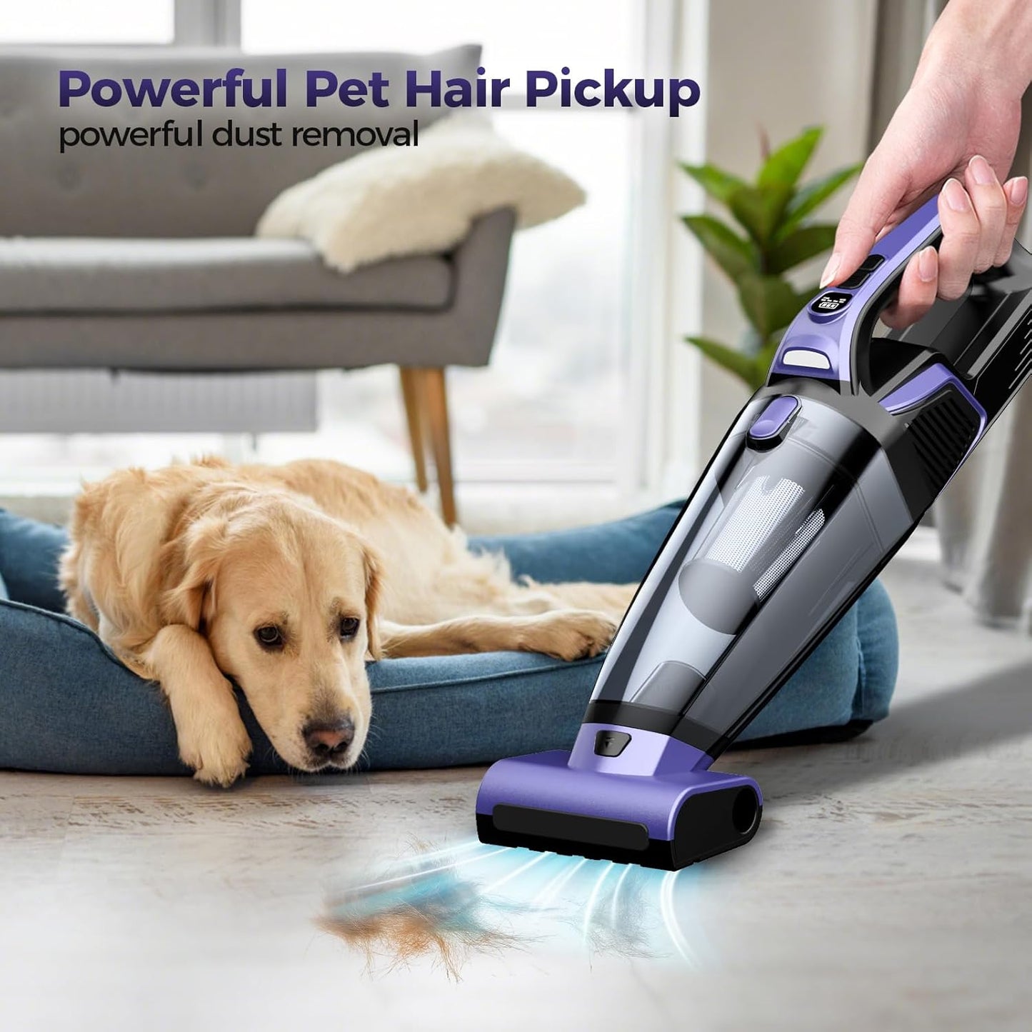 Pet Hair Handheld Vacuum Cordless: 20000PA High Power Car Vacuum with Motorized Brush and LED Light