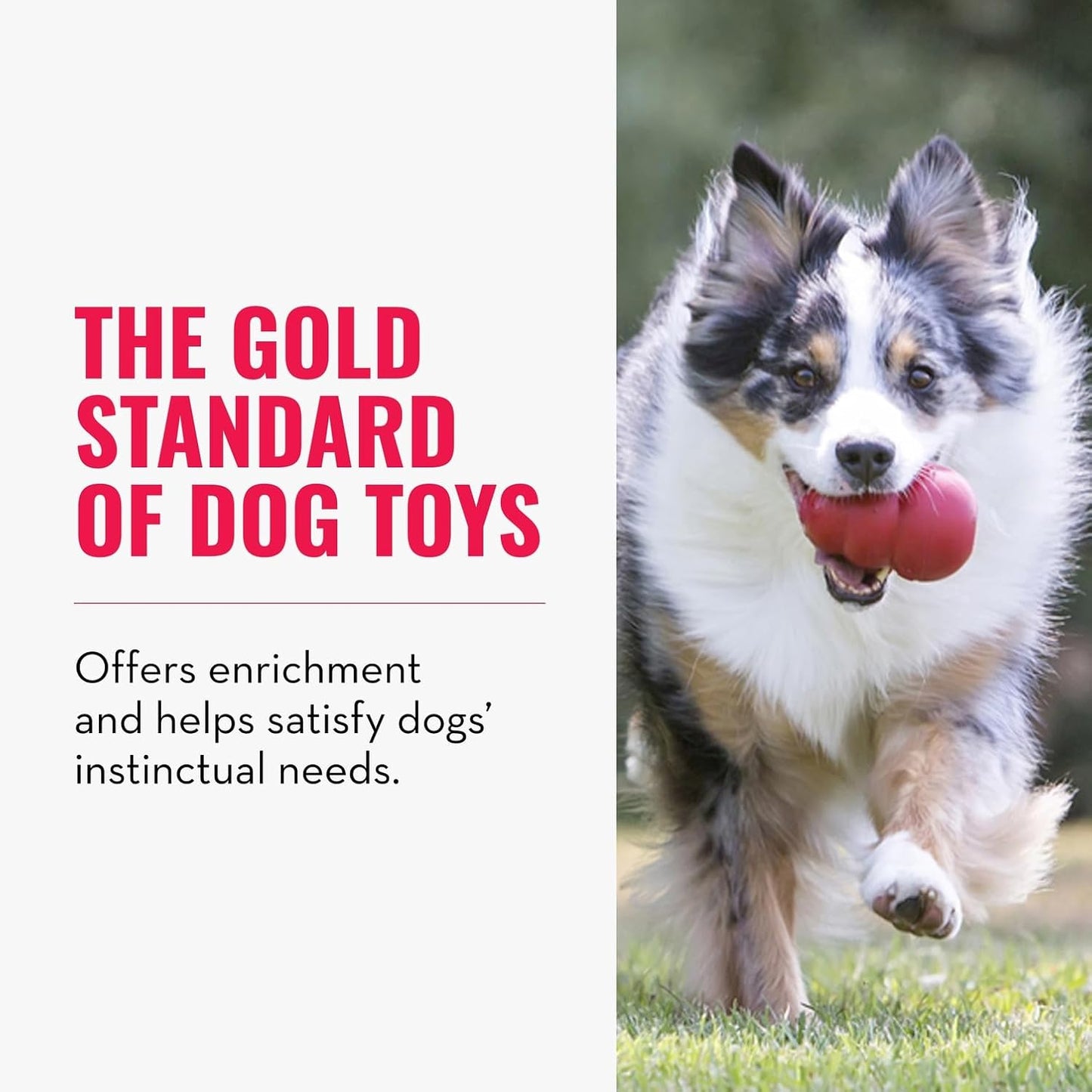 Classic Stuffable Dog Toy - Fetch & Chew Toy for Dogs - Treat-Filling Capabilities & Erratic Bounce