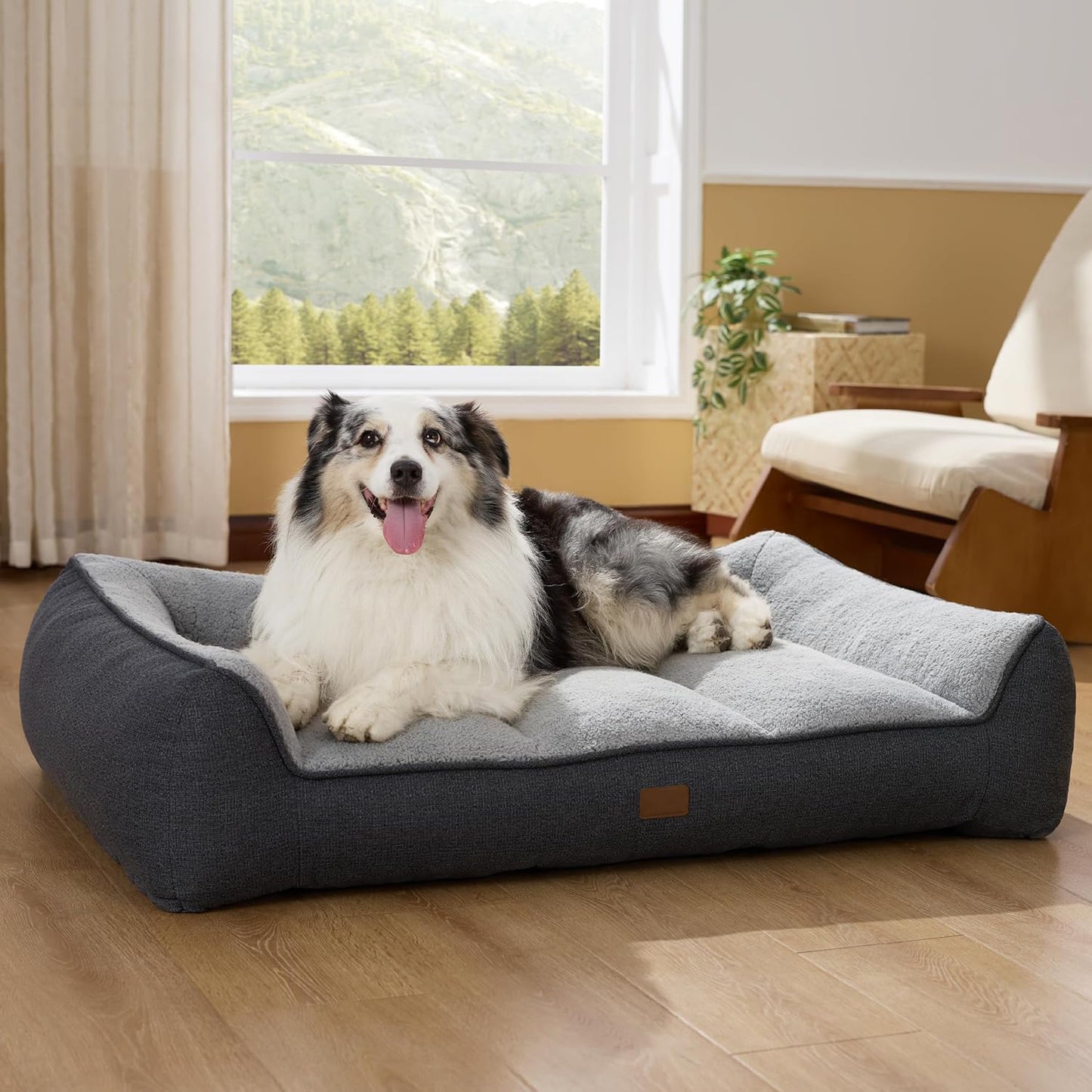 Orthopedic Dog Beds Large Sized Dog - Extra Thick Supportive Pet Bed Sofa