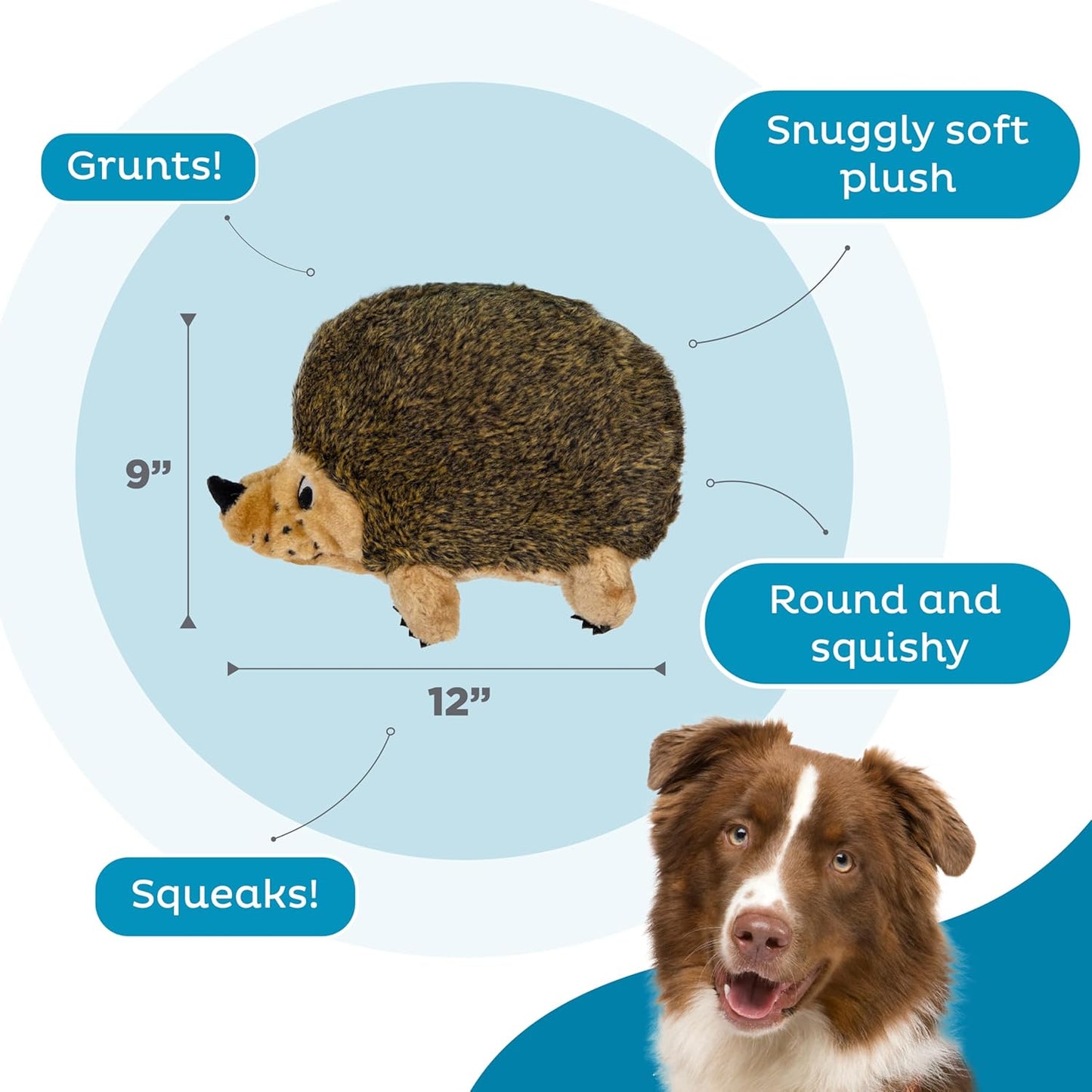Hedgehogz Plush Dog Toys, Small Large Dogs Cats Toy Supplies