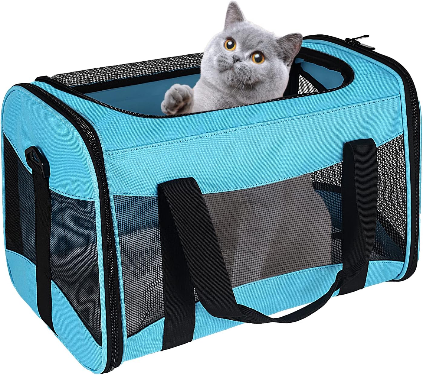 Cat Carrying Case Pet Dog Carrier Soft-Sided Cat Bag Airline Approved, Pet Travel Carrier Up to 15 Lbs