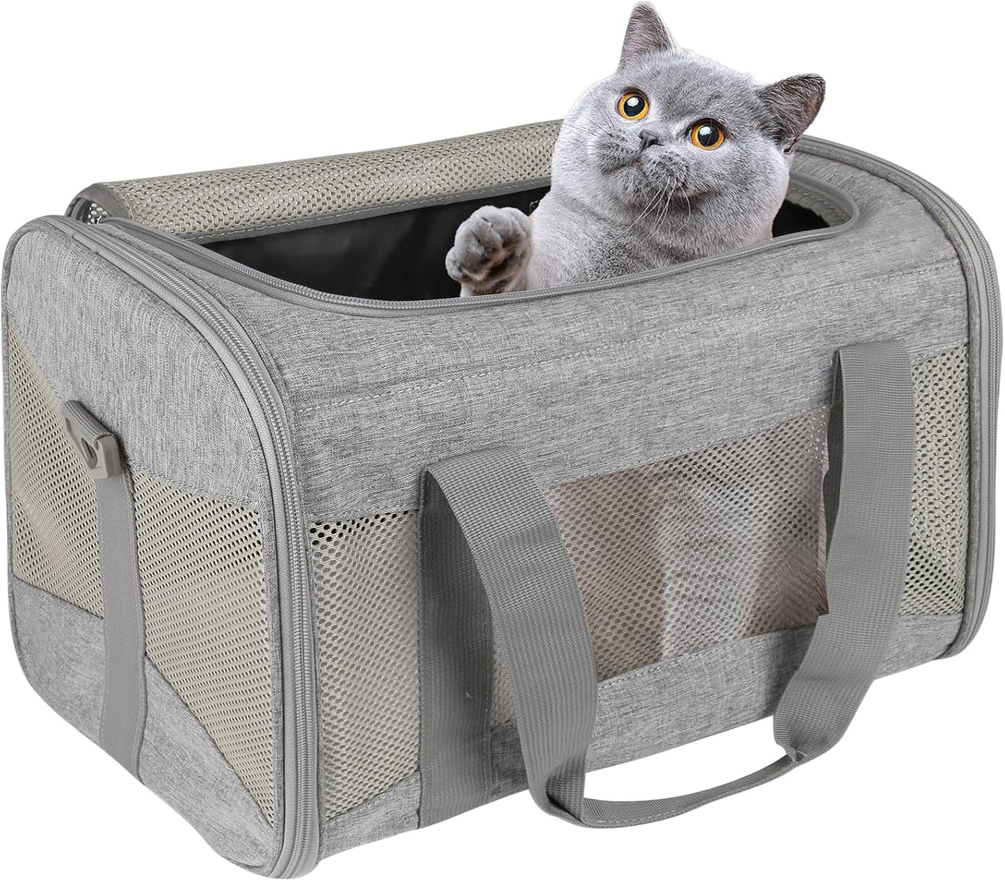 Cat Carrying Case Pet Dog Carrier Soft-Sided Cat Bag Airline Approved, Pet Travel Carrier Up to 15 Lbs