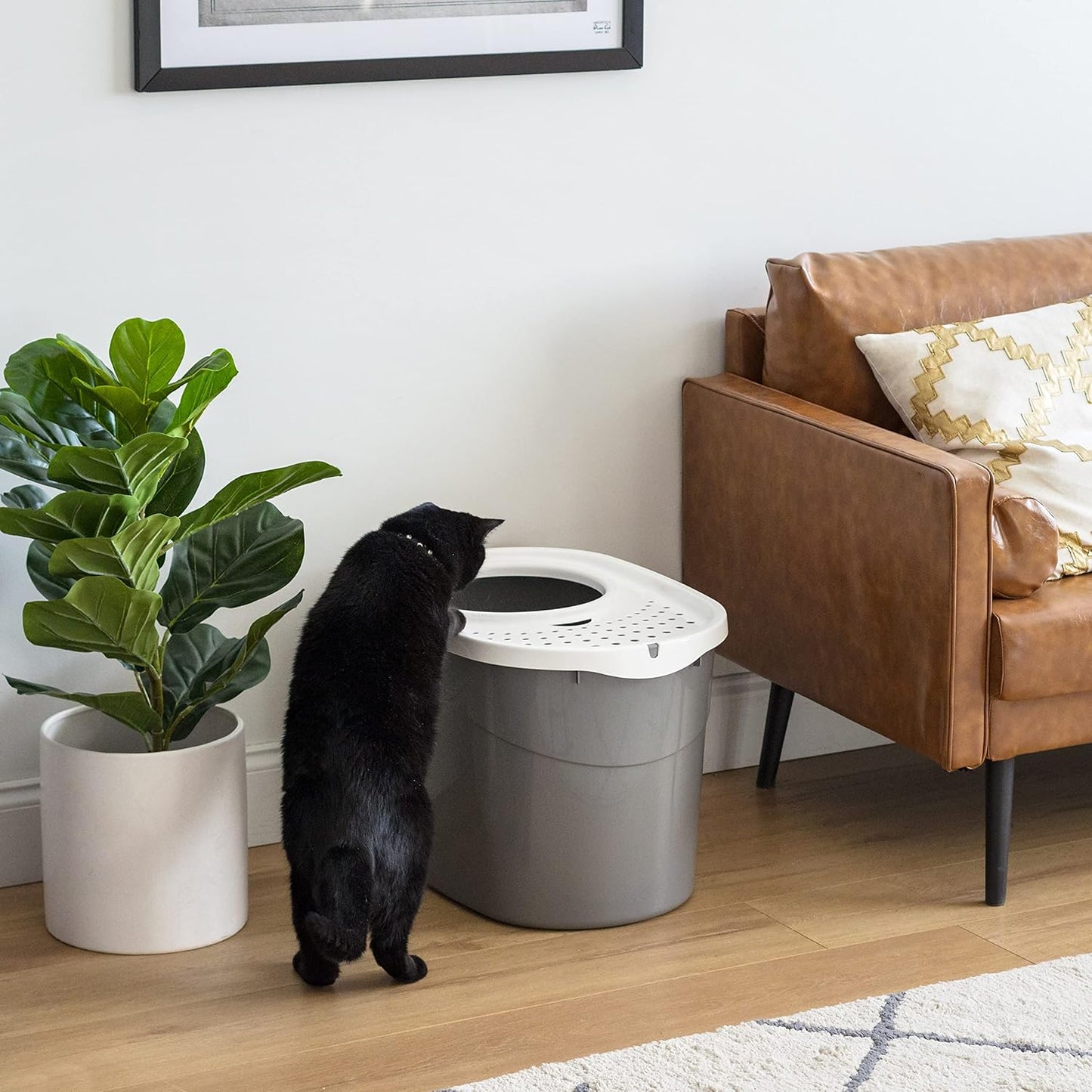 Top Entry Cat Litter Box, Large Enclosed with Litter Catching Lid and Scoop, Dog Proof
