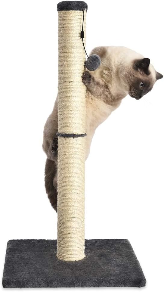 Cat Scratcher Cats Toy- Indoor Classic Single Cat & Kittens Scratching Post