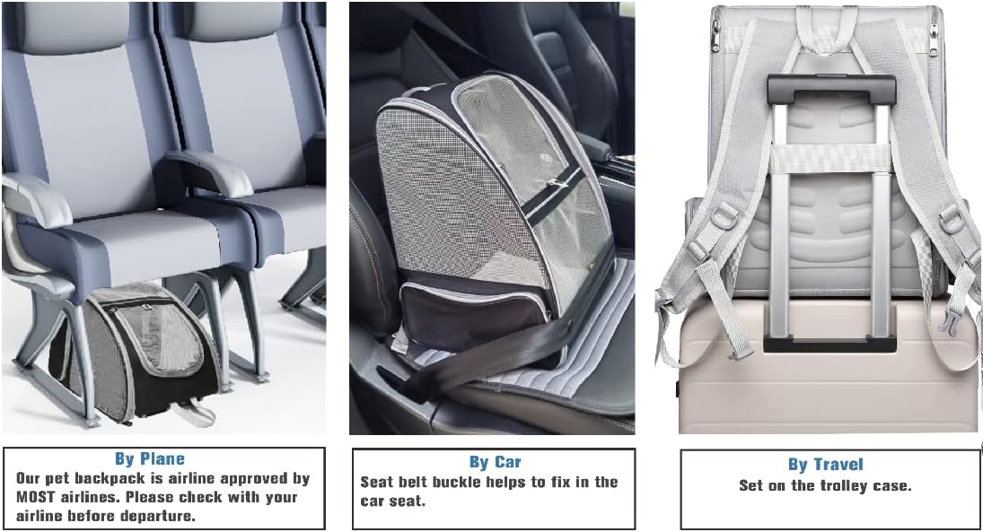 Innovative Traveler Bubble Backpack Pet Carriers for Cats and Dogs Breathable and Portable