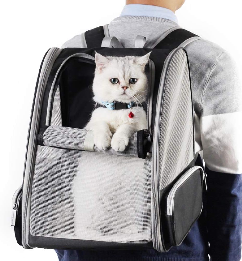 Innovative Traveler Bubble Backpack Pet Carriers for Cats and Dogs Breathable and Portable