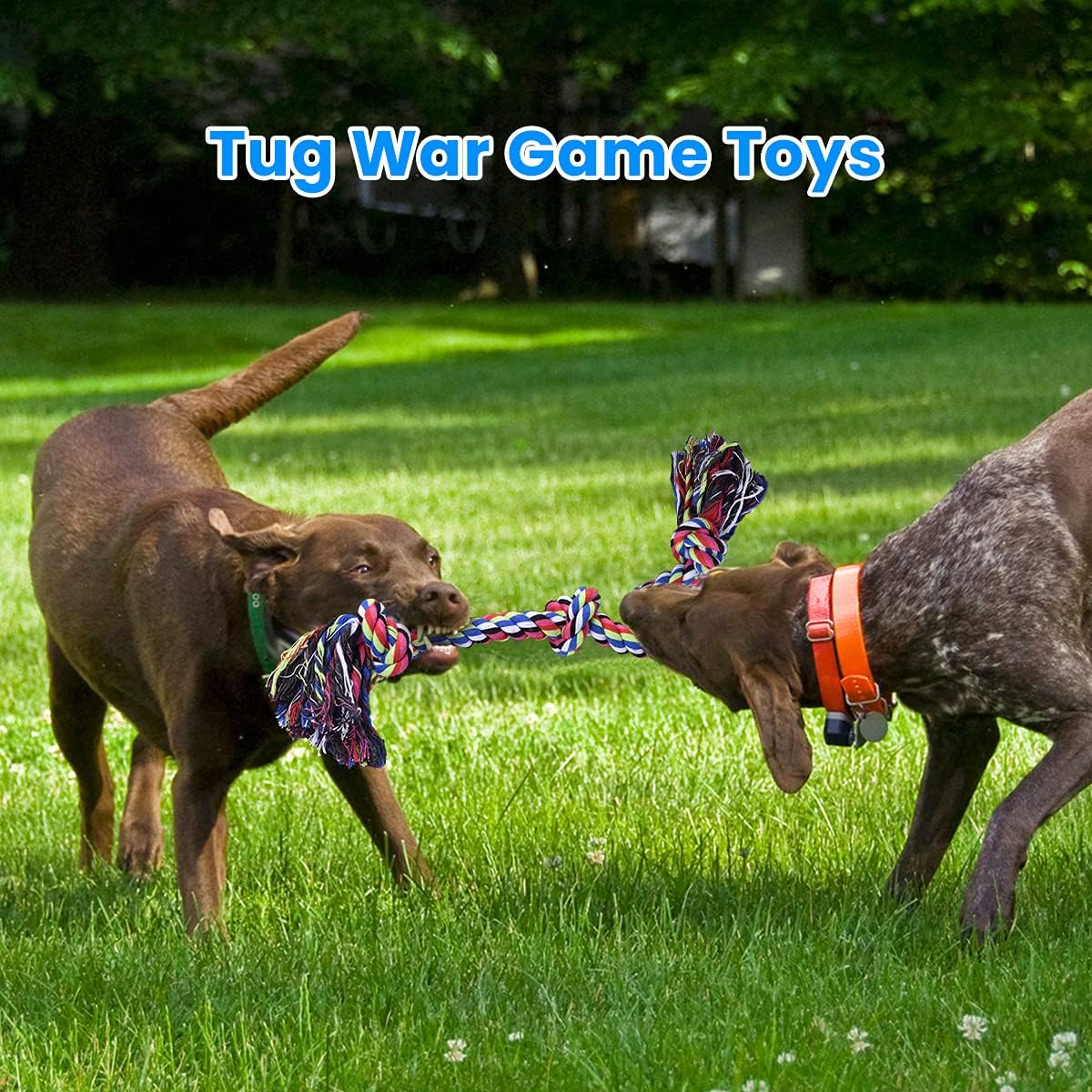2 Pack Indestructible Heavy Duty Dog Rope Toys for Large Breed Aggressive Chewers