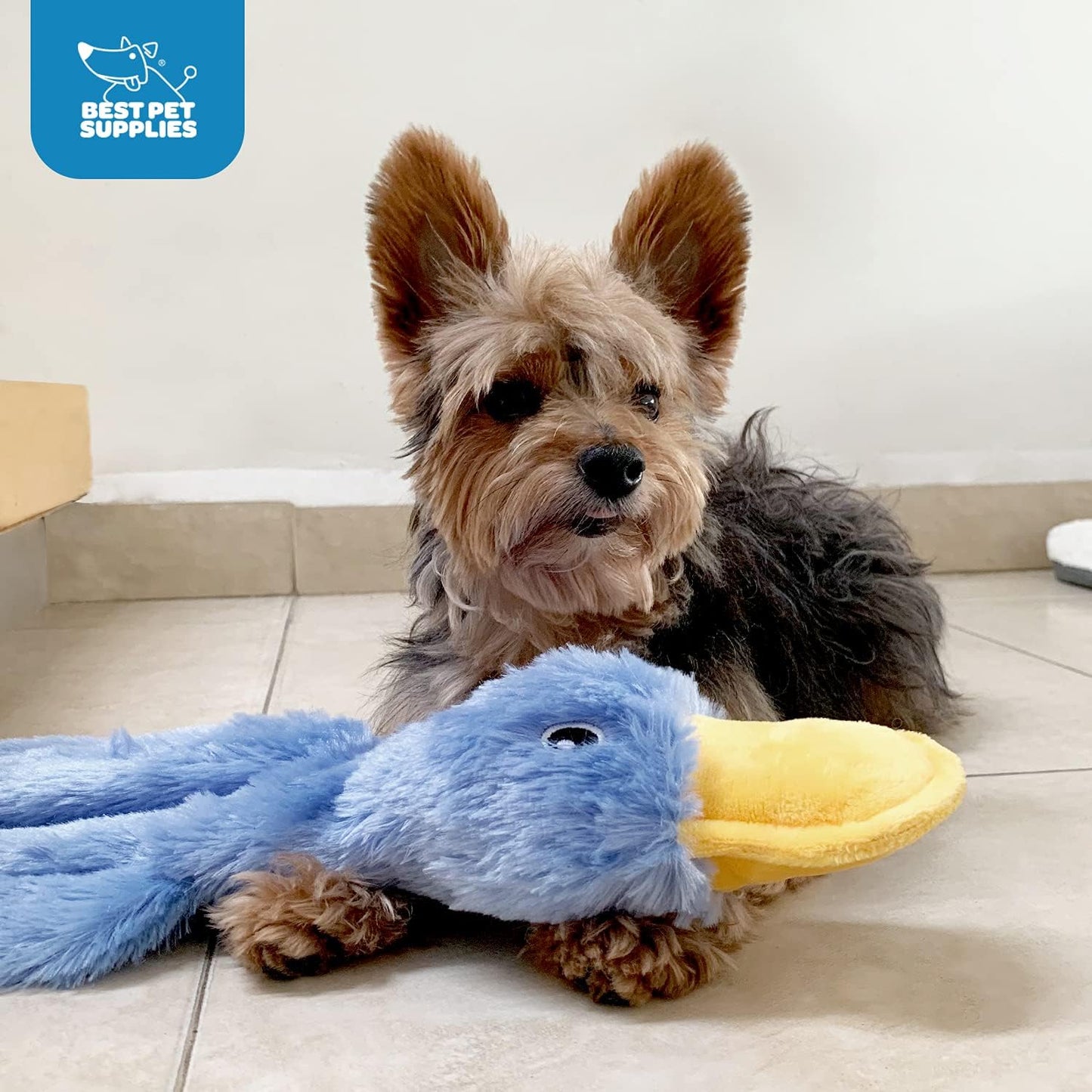 Interactive Squeaky Dog Chew Toy, Ideal Dog Toys for Chewers, Small, Medium & Large Dogs