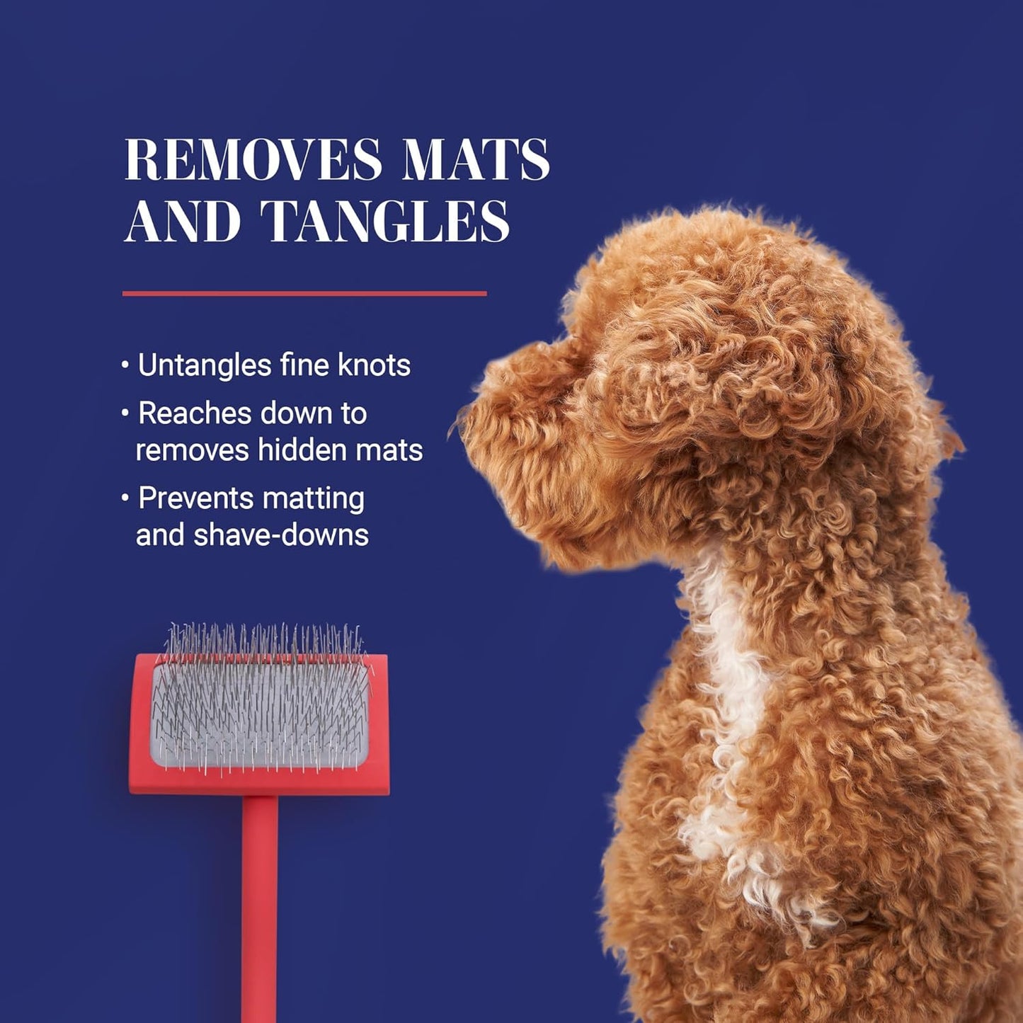 Big G Dog Slicker Brush for Dogs (Goldendoodles, Labradoodles, Poodles), Groom Like a Professional