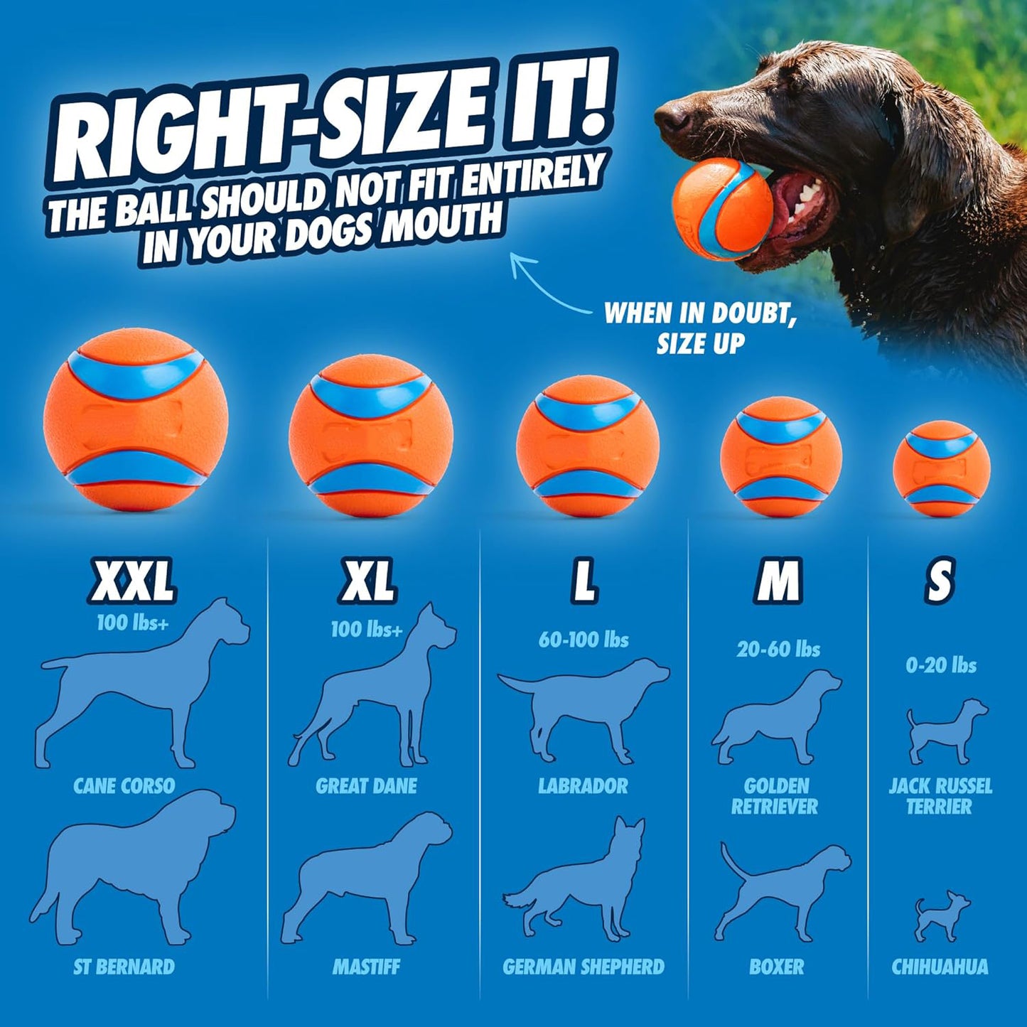 Ultra Ball Dog Toy - Medium Bouncy Fetch Balls For Dogs 20-60 lbs - Made from Durable Rubber