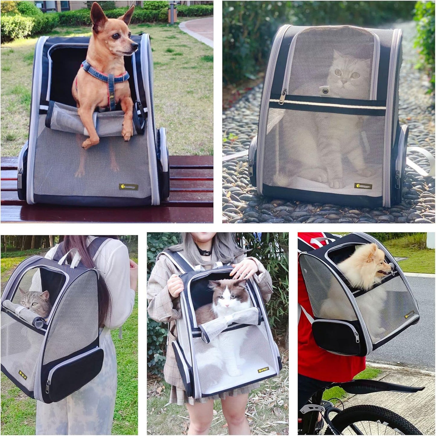 Innovative Traveler Bubble Backpack Pet Carriers for Cats and Dogs Breathable and Portable