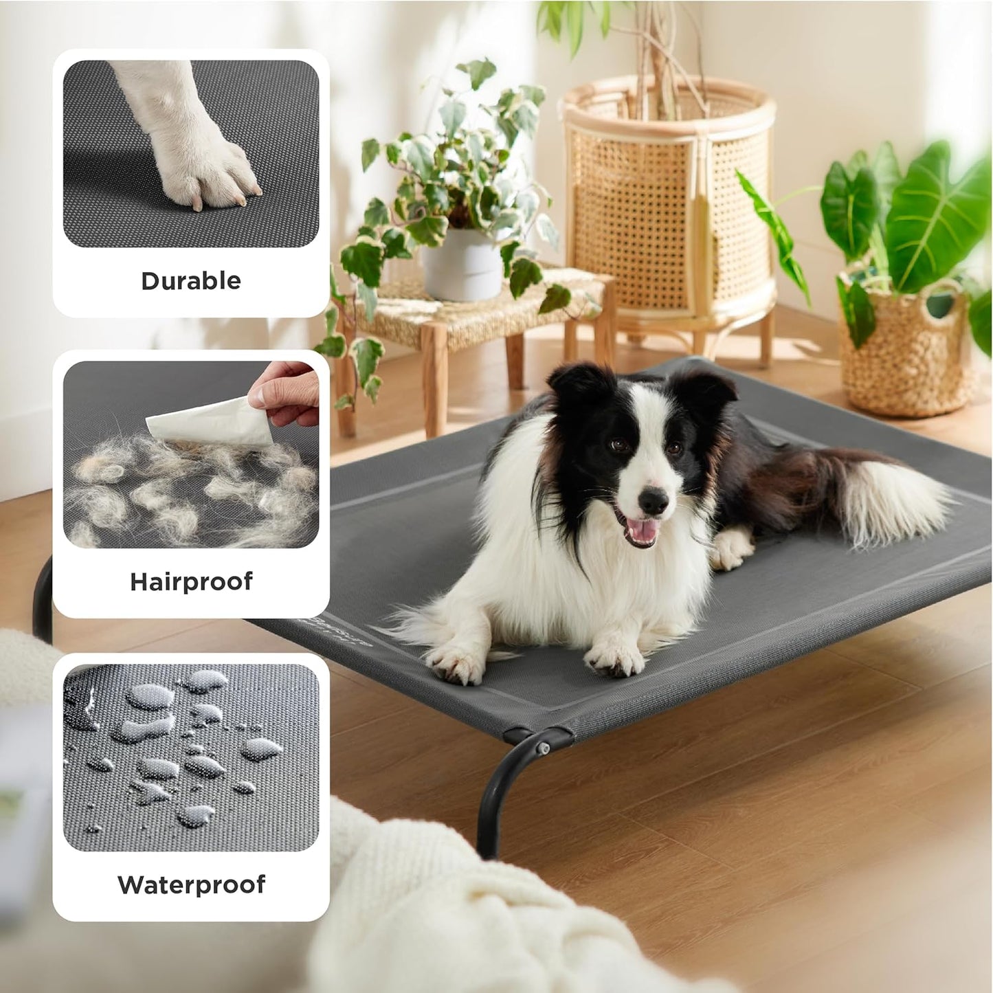 Portable Outdoor Elevated Dog Bed with Skid-Resistant Feet, with Breathable Mesh