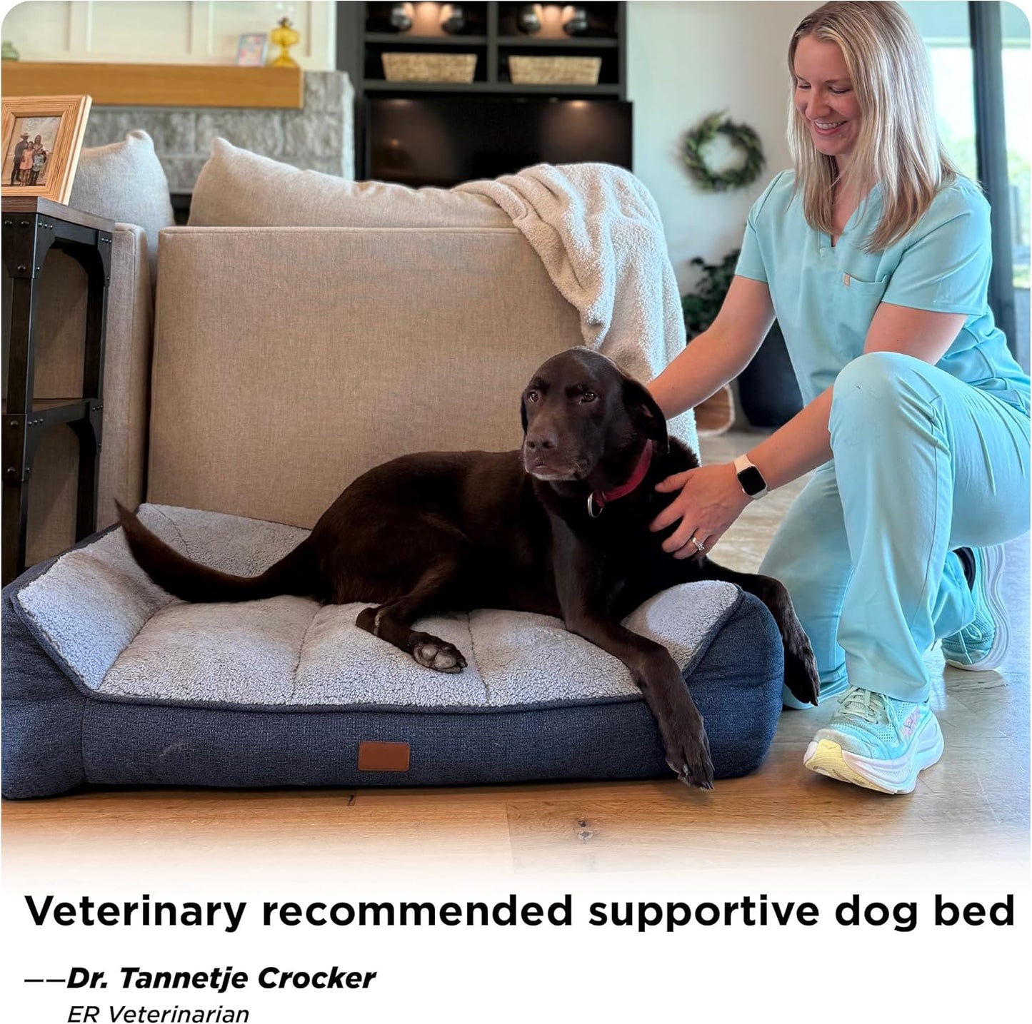 Orthopedic Dog Beds Large Sized Dog - Extra Thick Supportive Pet Bed Sofa