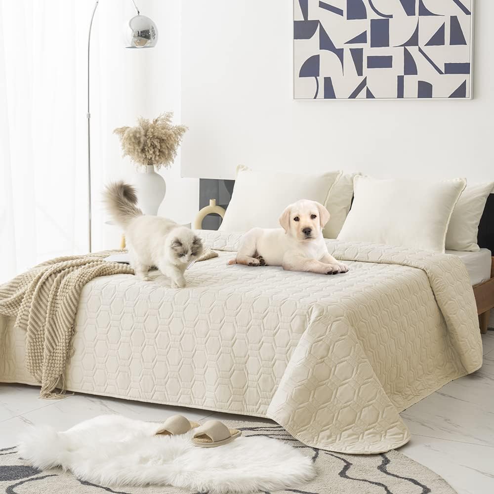 Sofa Slipcovers Cushion Protector for Medium Dogs