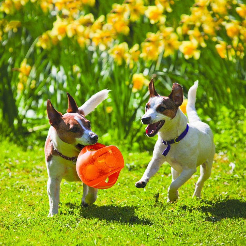 Jumbler Ball - Interactive Toy for Dog & Puppy Playtime - Fetch Toy with Tennis Ball - Dog Supplies