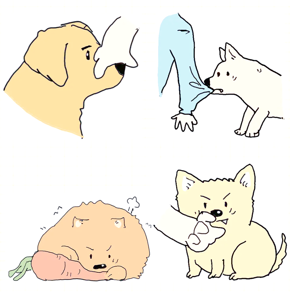 Dog Bite: About Preventing Infections and Treating Injuries