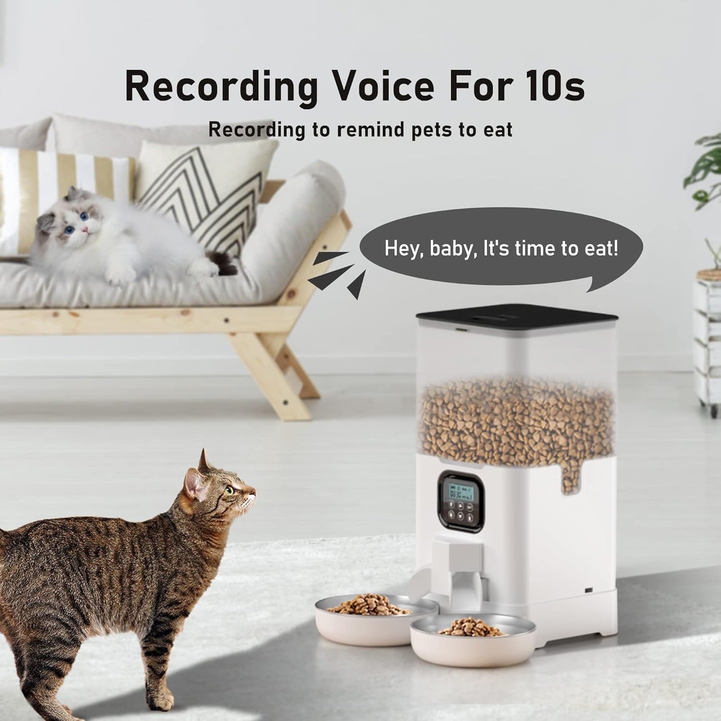 Automatic Cat Feeder for Two Cats, Double Pet Feeder with 2 Stainless Steel Bowls