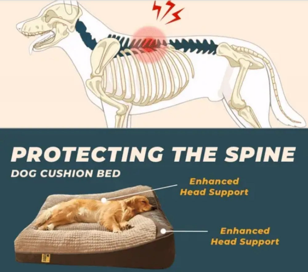 Large Thick Scratch-Resistant Dog Cushion Bed with Spine Support