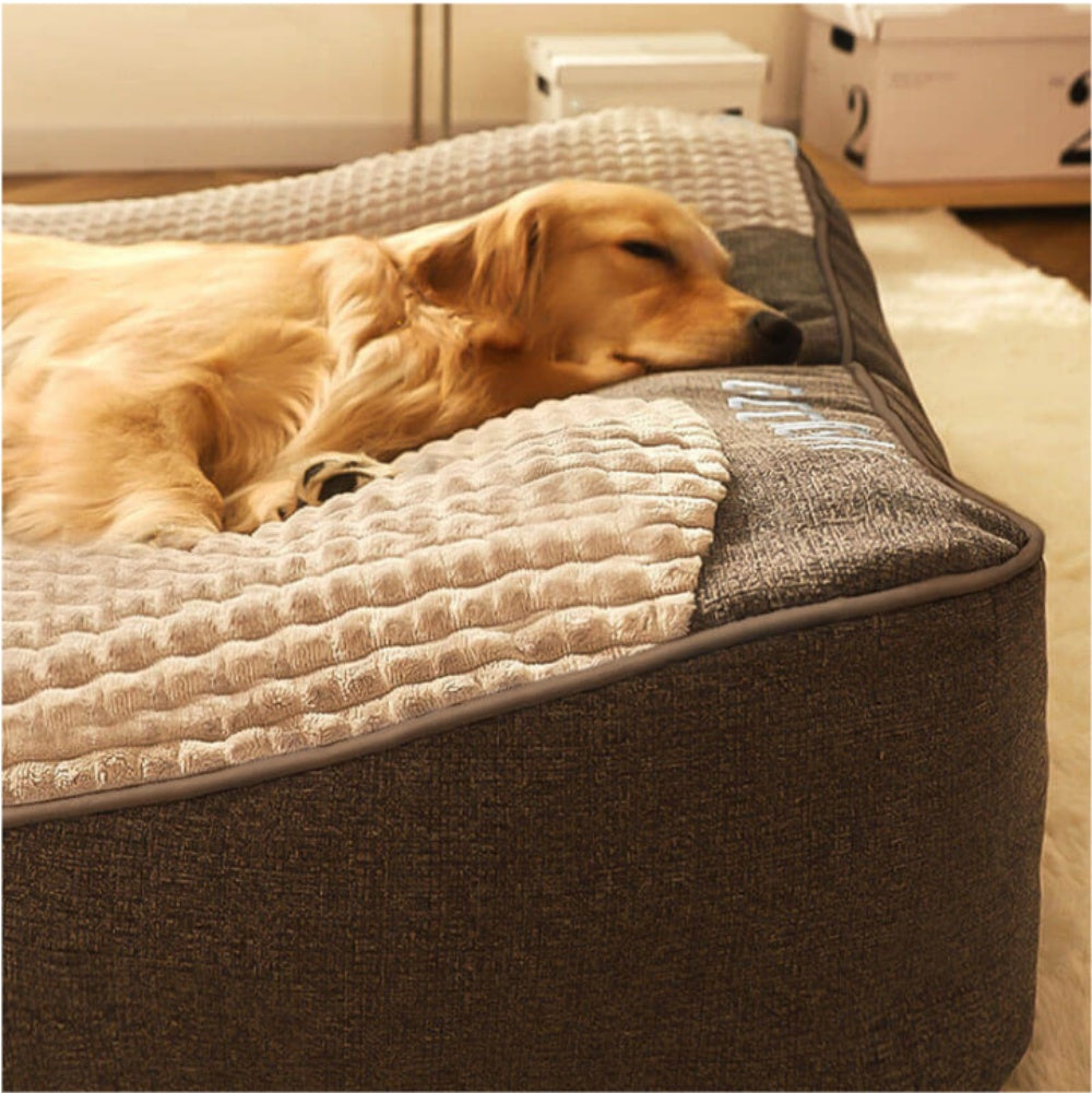 Large Thick Scratch-Resistant Dog Cushion Bed with Spine Support