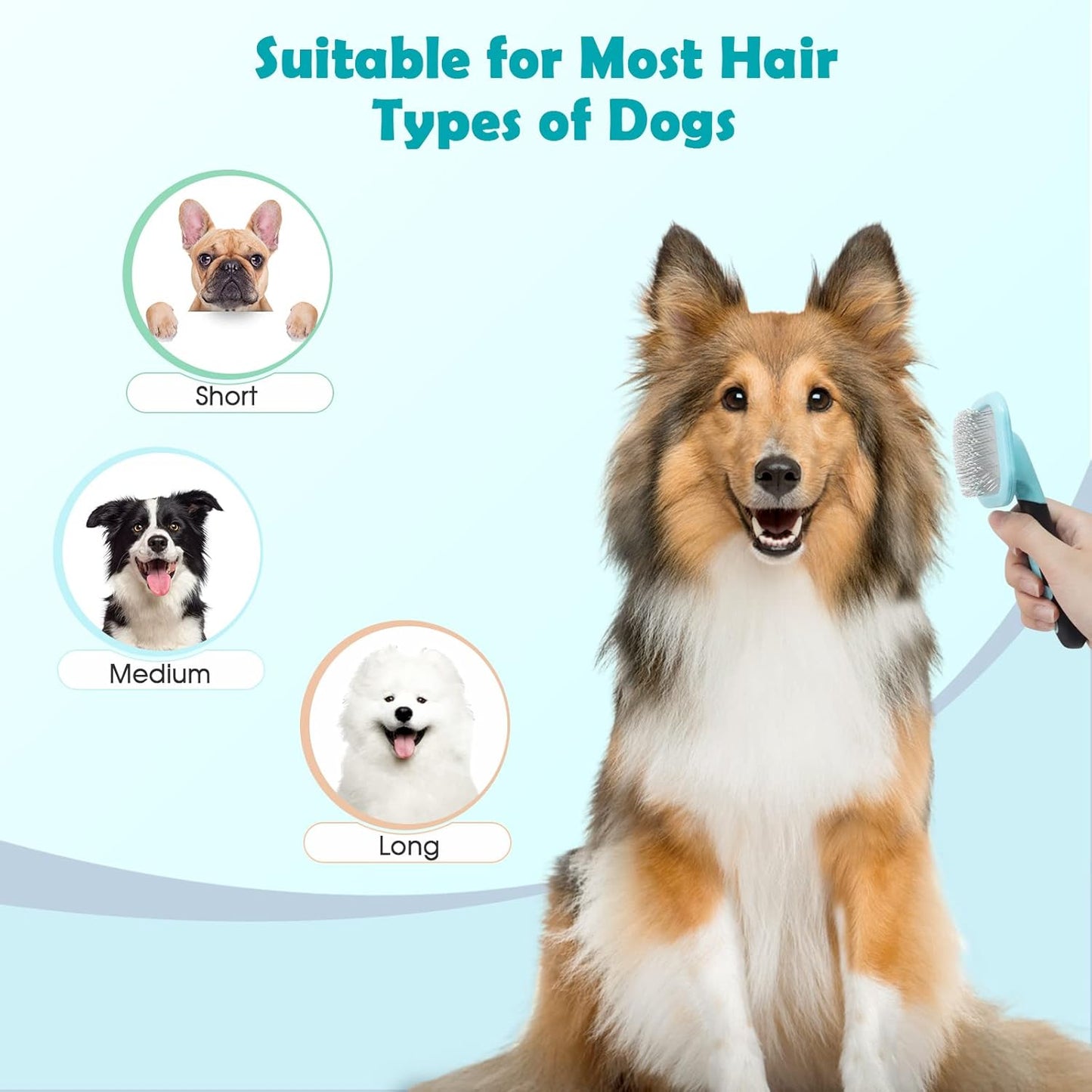 Dog Brush Gently Cleaning Pin Brush for Shedding Dog Hair Brush for Small Dogs Puppy