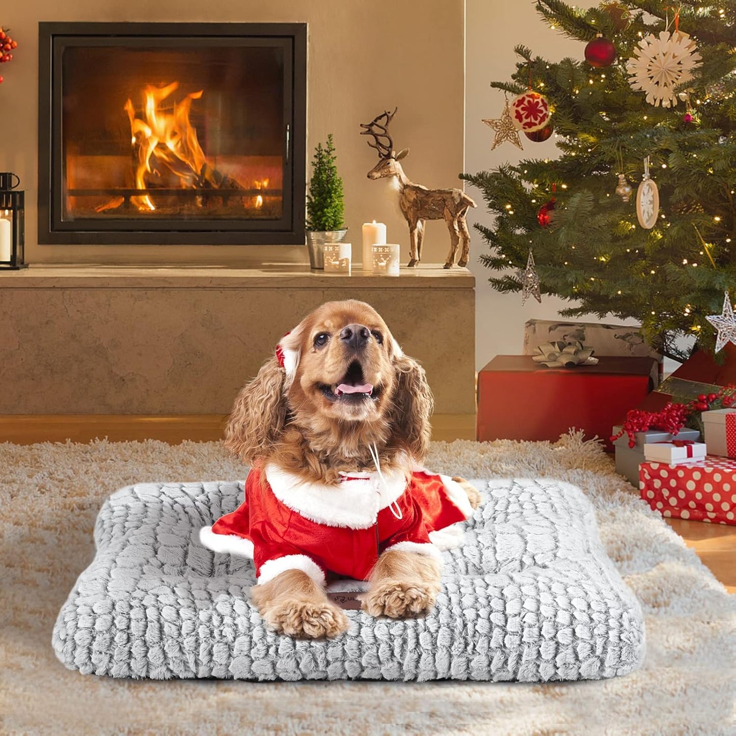 Soft Fluffy Pet Cushion Mat for Small Dogs, Anti-Slip Comfy Kennel Pad for Puppy Crates UK Pets