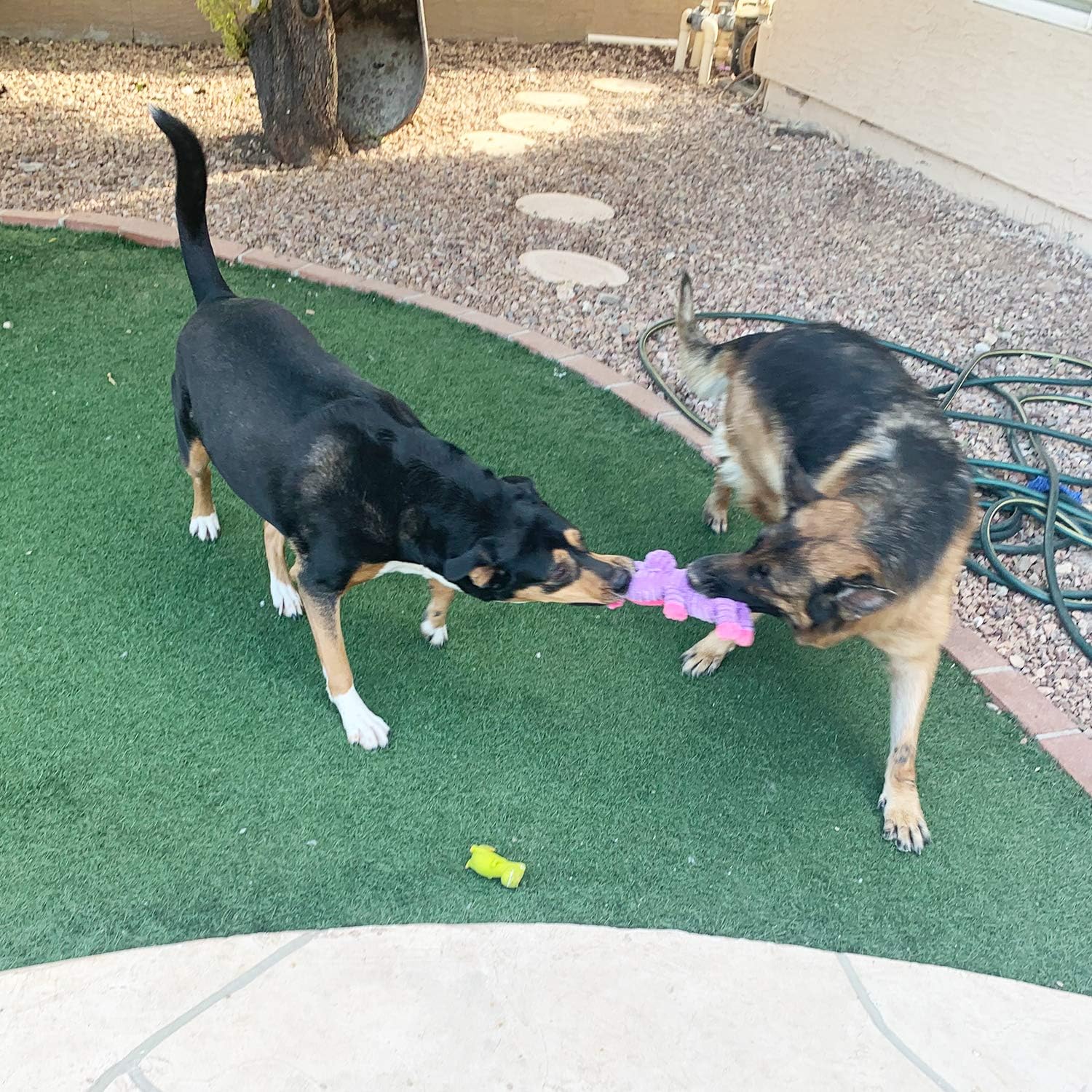 Dogs Squeaky Toys for dog