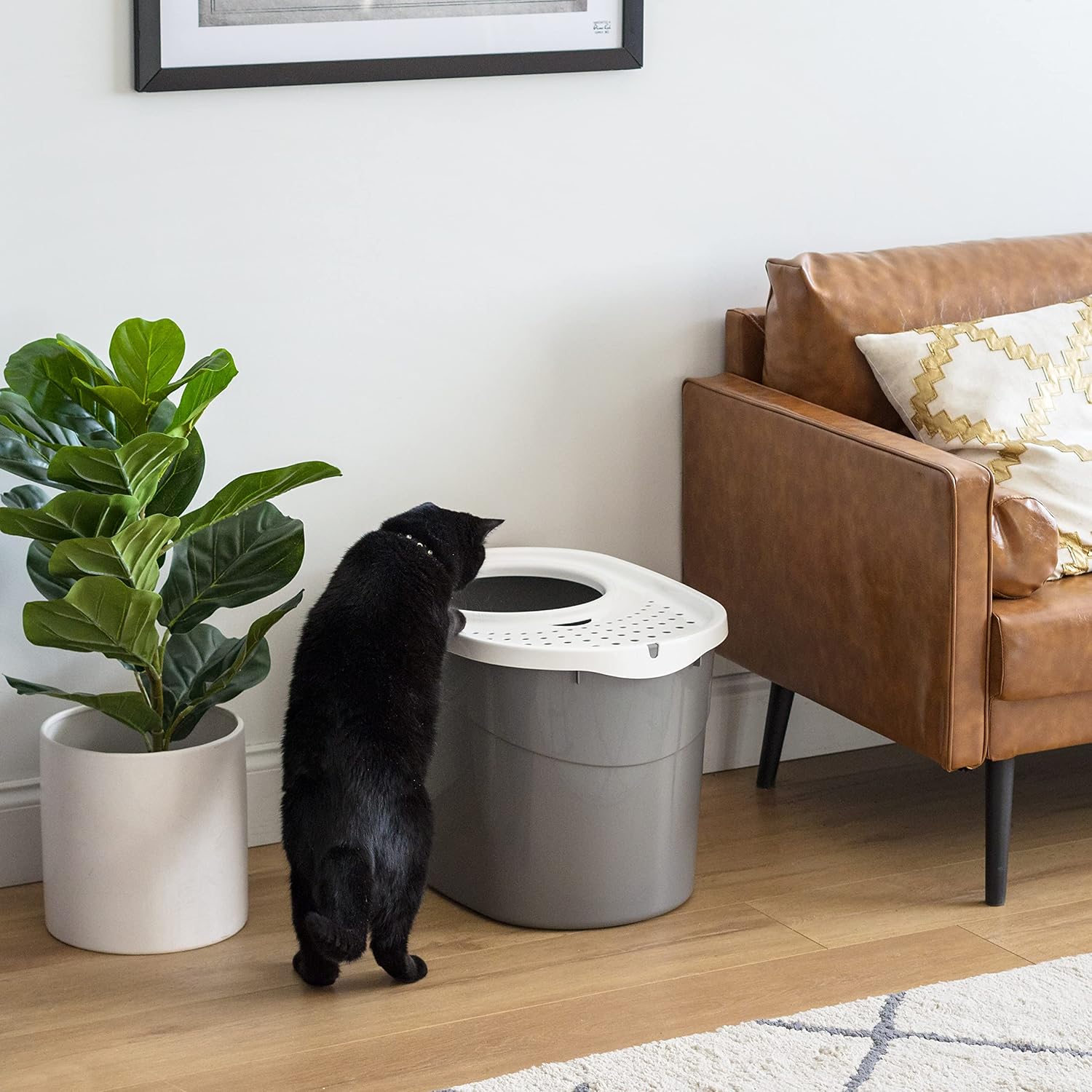 Large Enclosed with Litter Catching Lid and Scoop dogs Cats