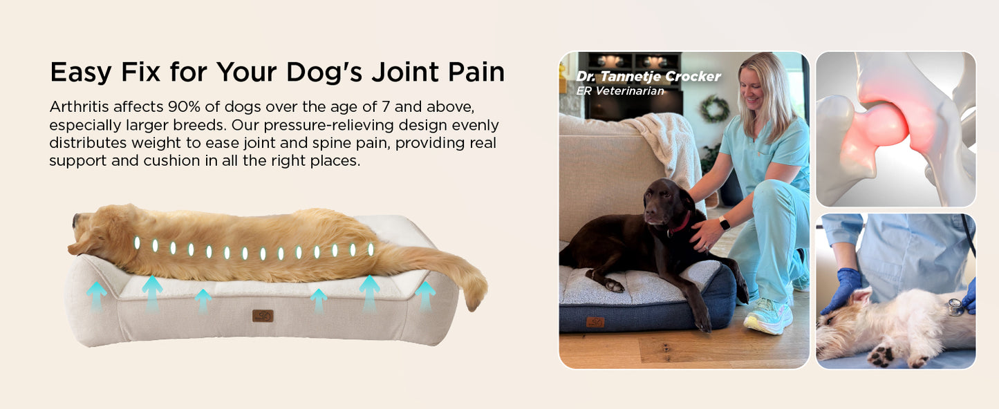 Non-Slip Bottom and Egg-Crate Foam L Dog Couch Bed