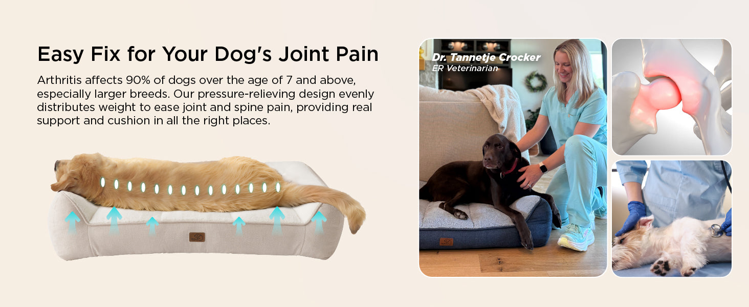 Non-Slip Bottom and Egg-Crate Foam L Dog Couch Bed