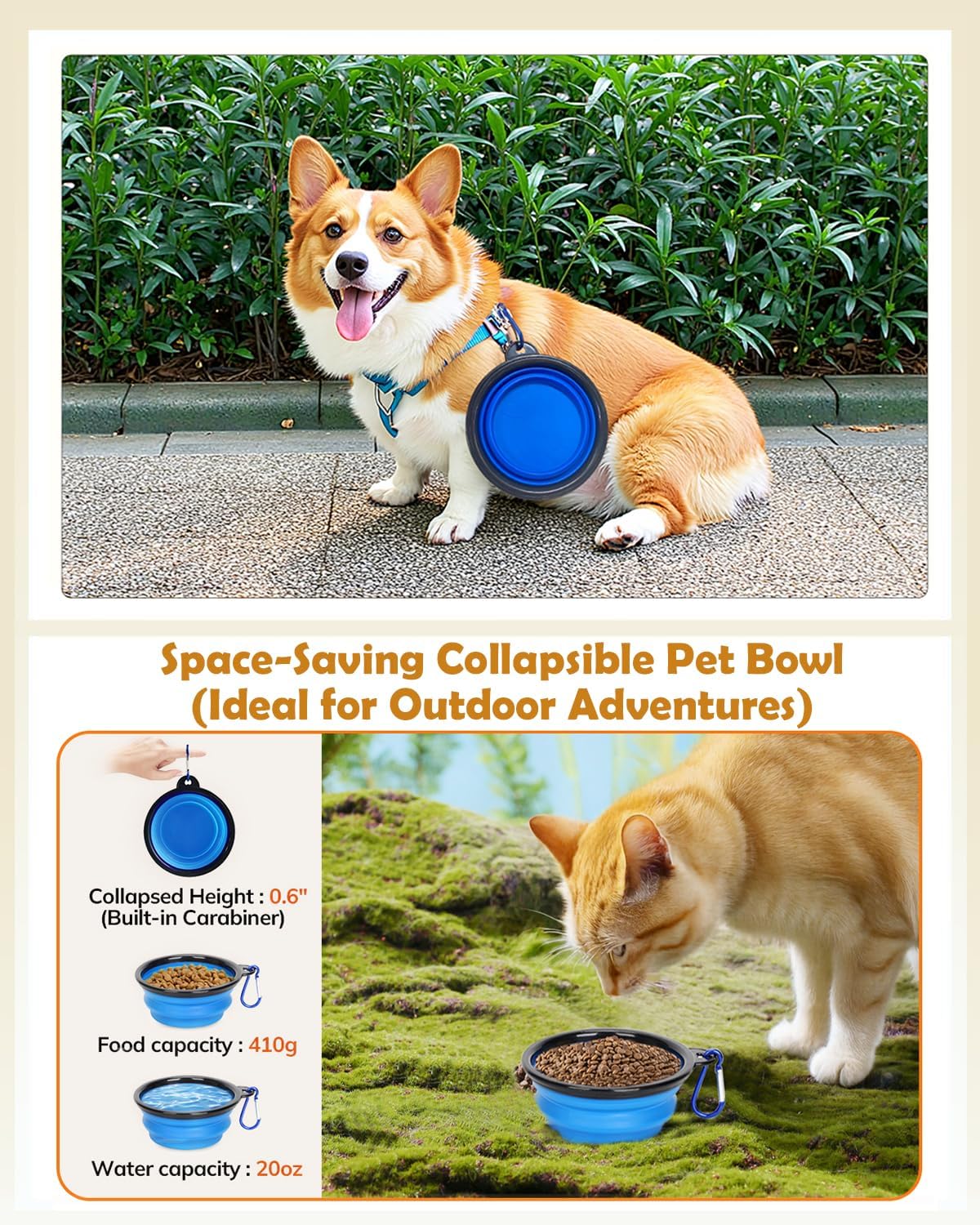 Pet Travel Carrier for Small Dog