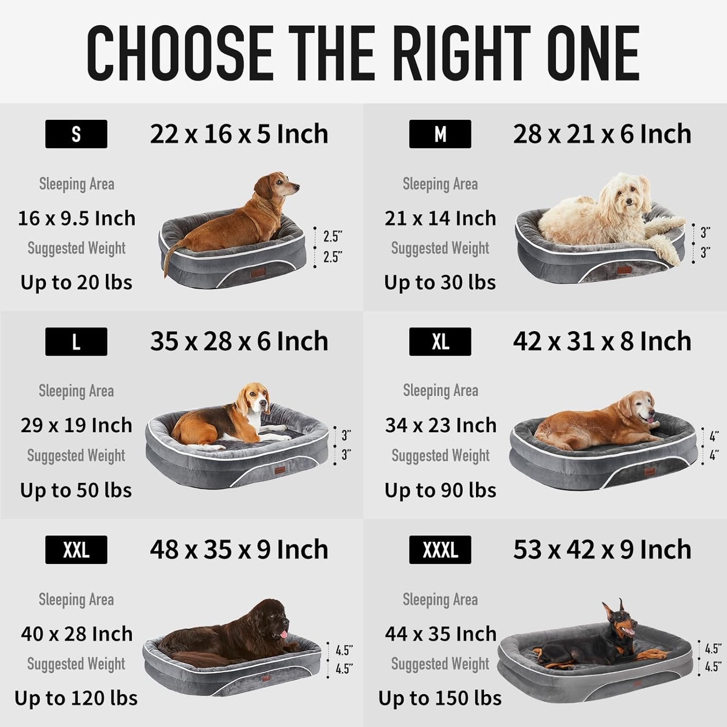 dog size of dog beds