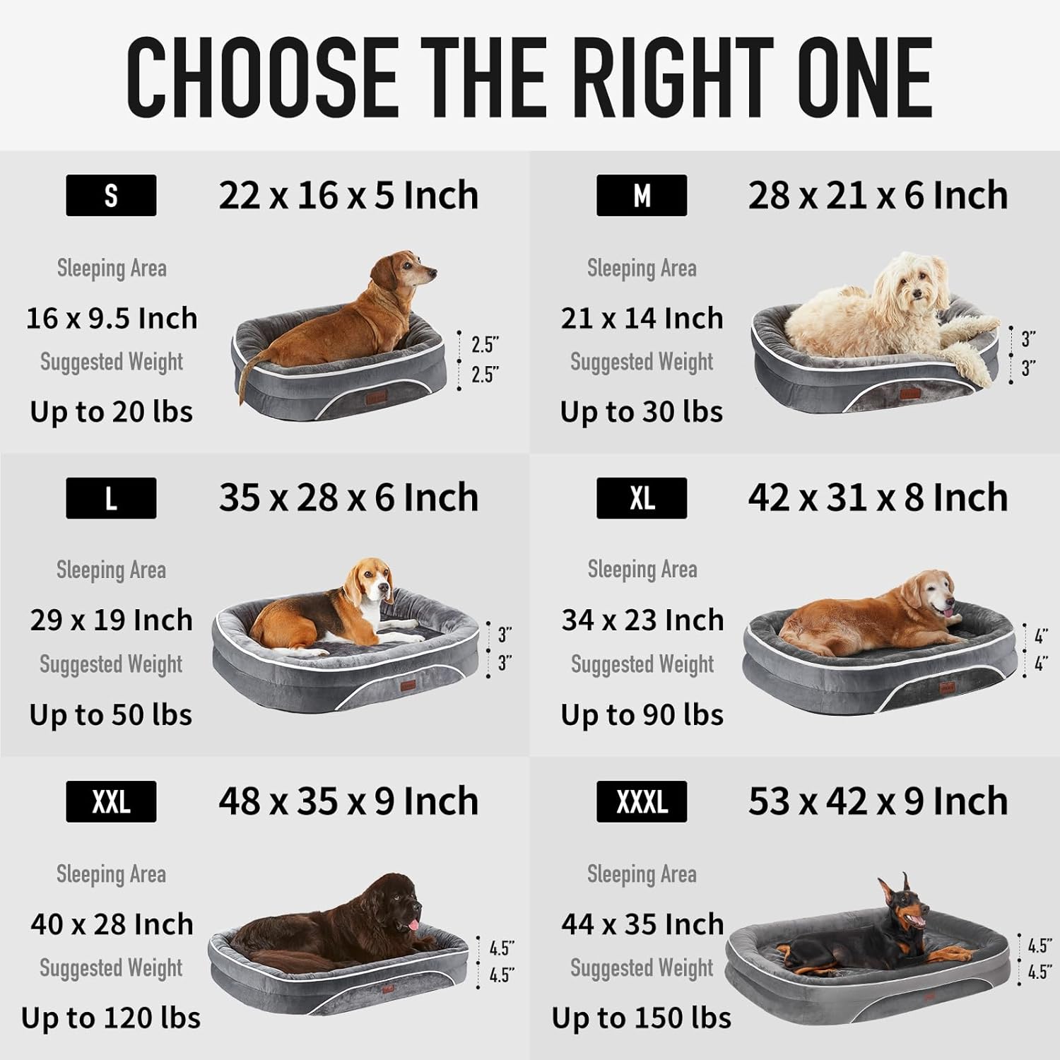 dog size of dog beds